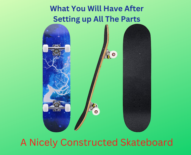 Nicely Constructed Skateboard